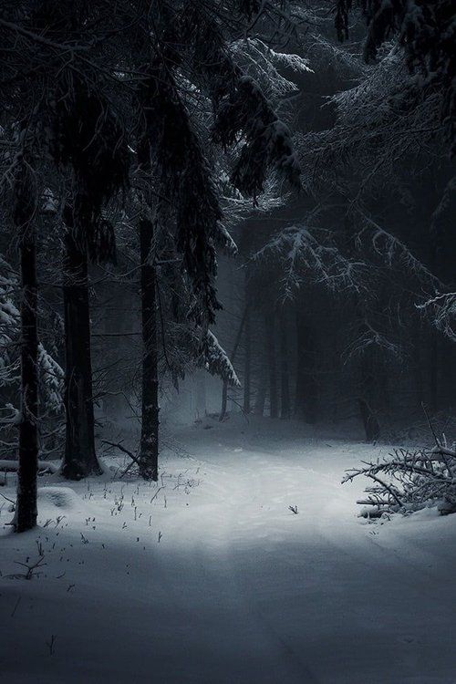Book Review: Echo North, Joanna Meyer